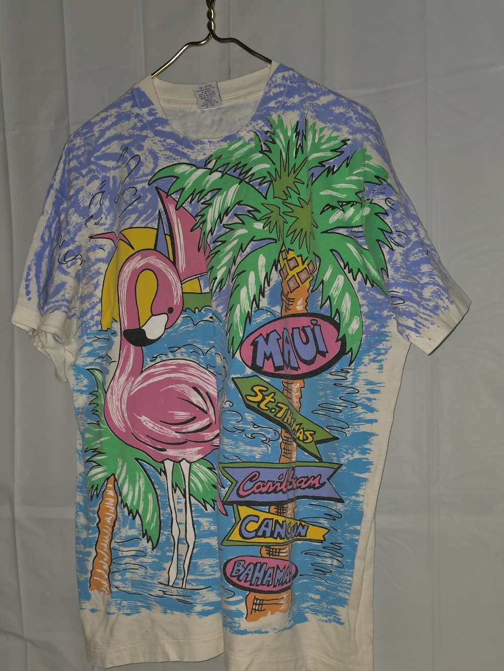 Vintage Freeze Graphic Tee with Green and Blue Details